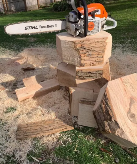 STIHL MS 170 Brand New Chainsaw (14