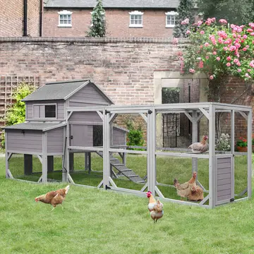 Anyi Chicken Coop with Chicken Run For Up To 10 Chickens