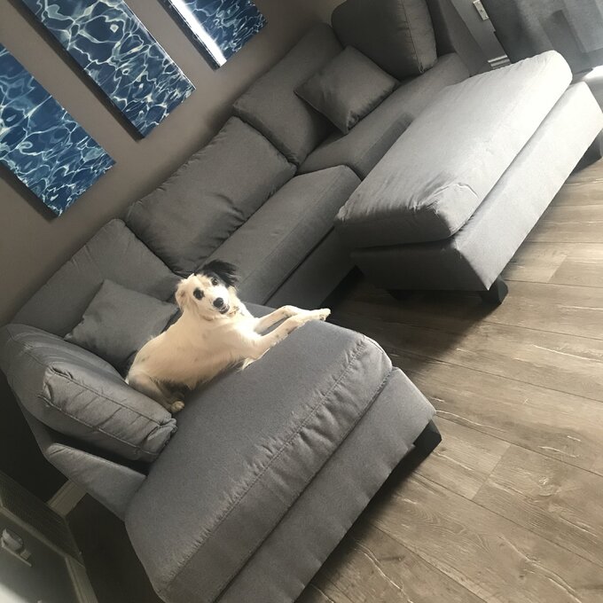 【Furniture】Hemphill 3 - Piece Upholstered Chaise Sectional